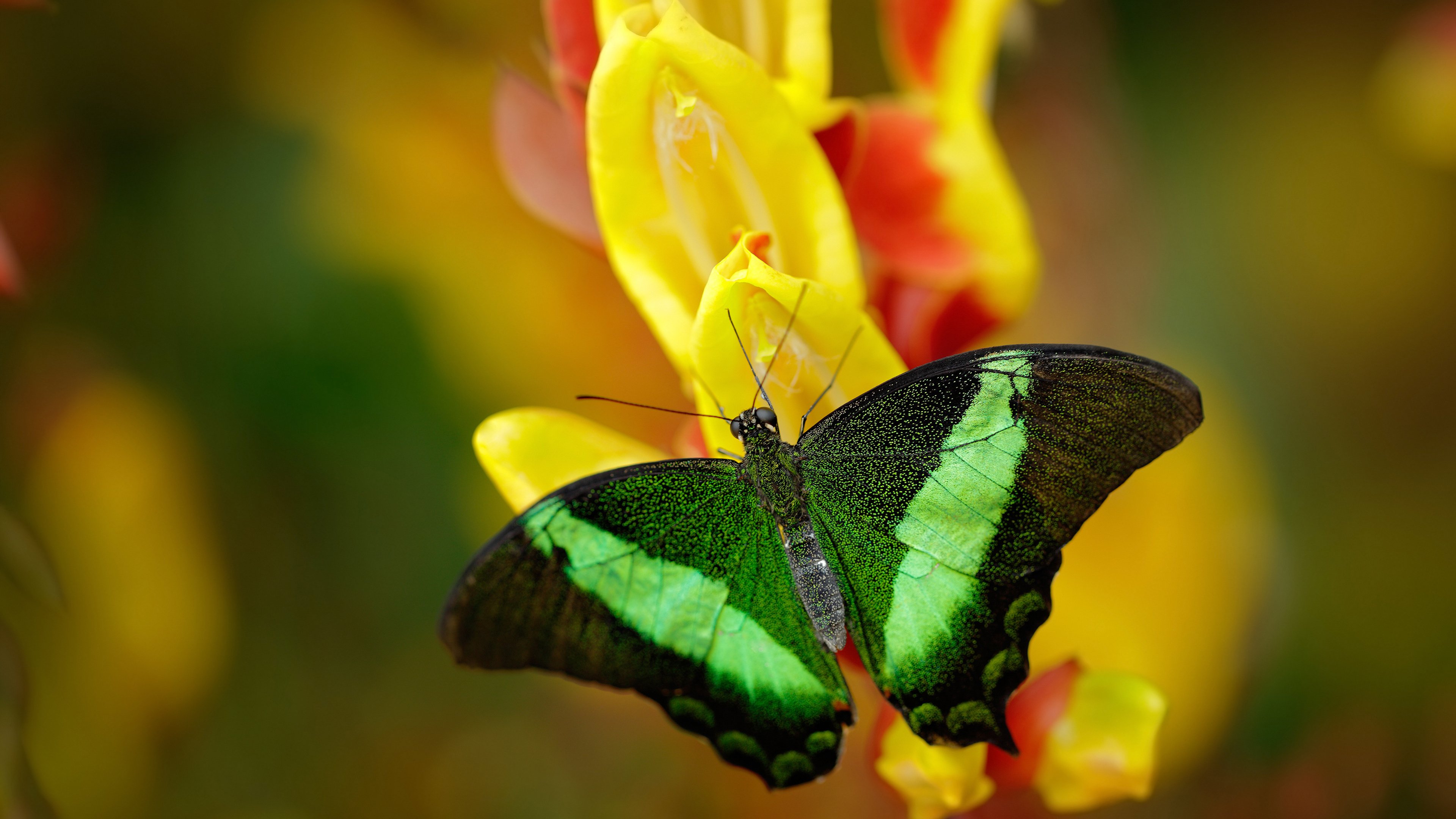 电竞比赛中的赛后总结：反思改进，不断进步，电竞比赛后面的人是干什么的