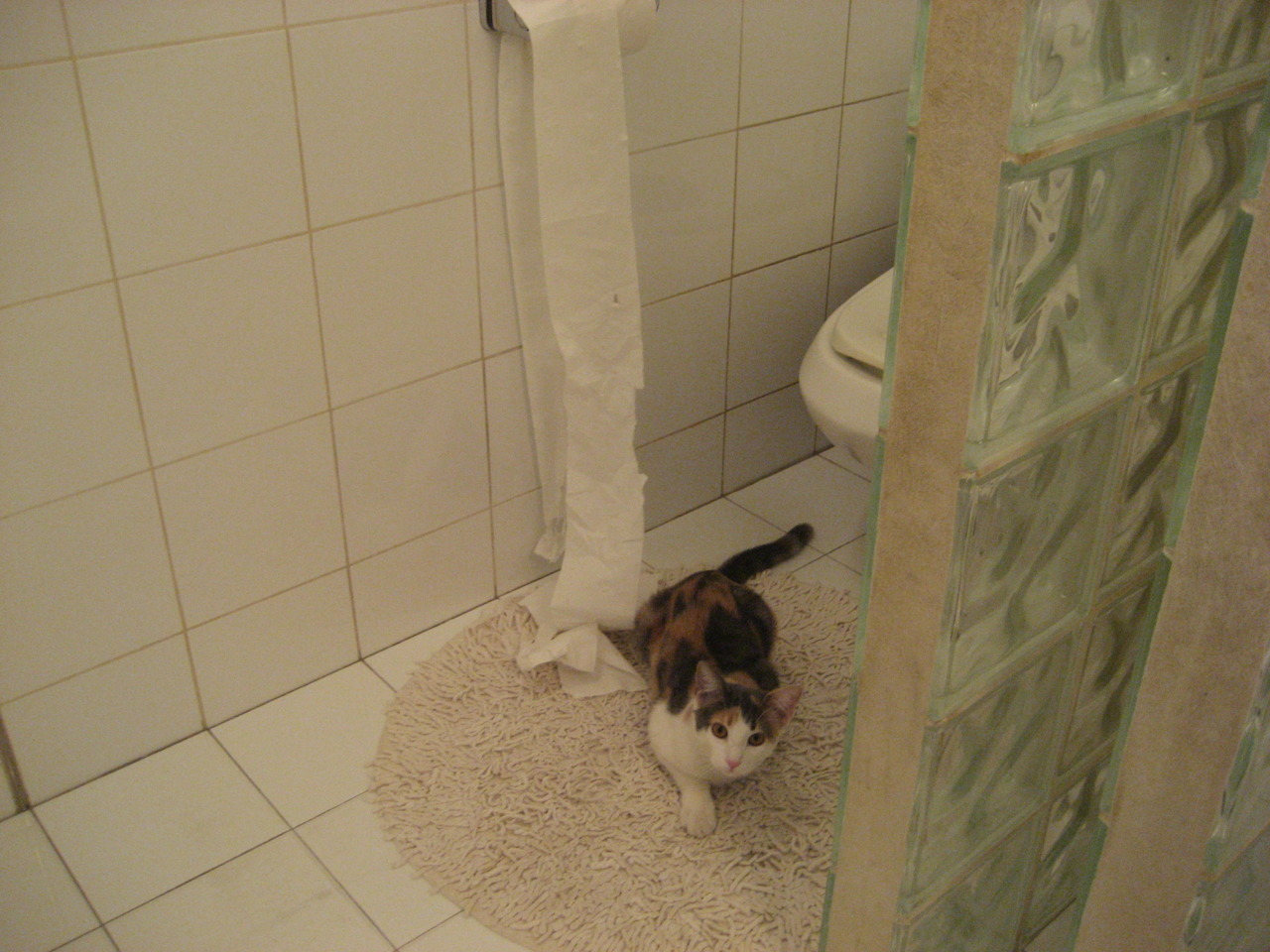 意甲传奇球星回忆辉煌历史，铭记经典时刻，2021意甲球星