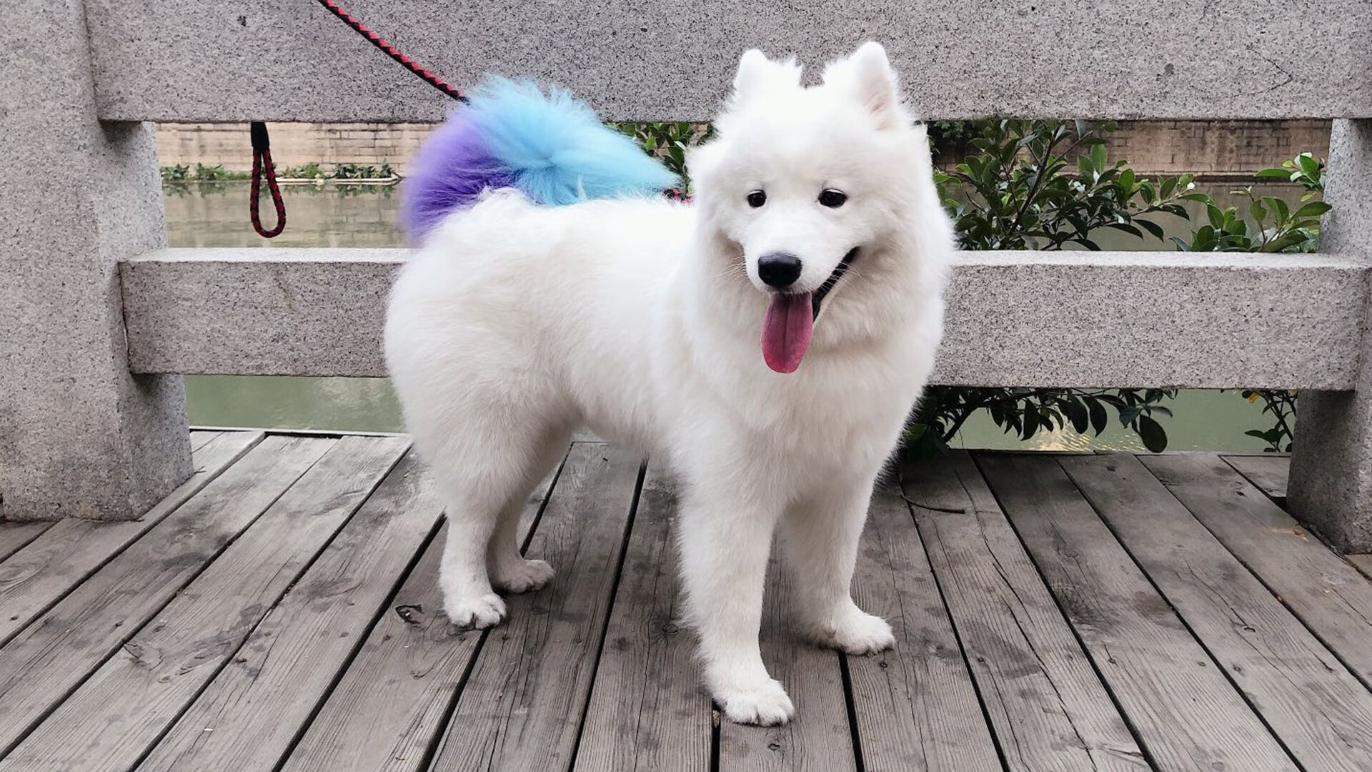 斯洛文尼亚险胜晋级，波黑队失利，斯洛文尼亚队员