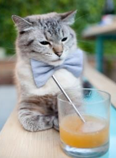 皇马欲敲定重磅交易，球队实力提升，皇马最新交易