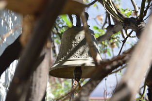 NBA球员转会市场动态，nba转会名单