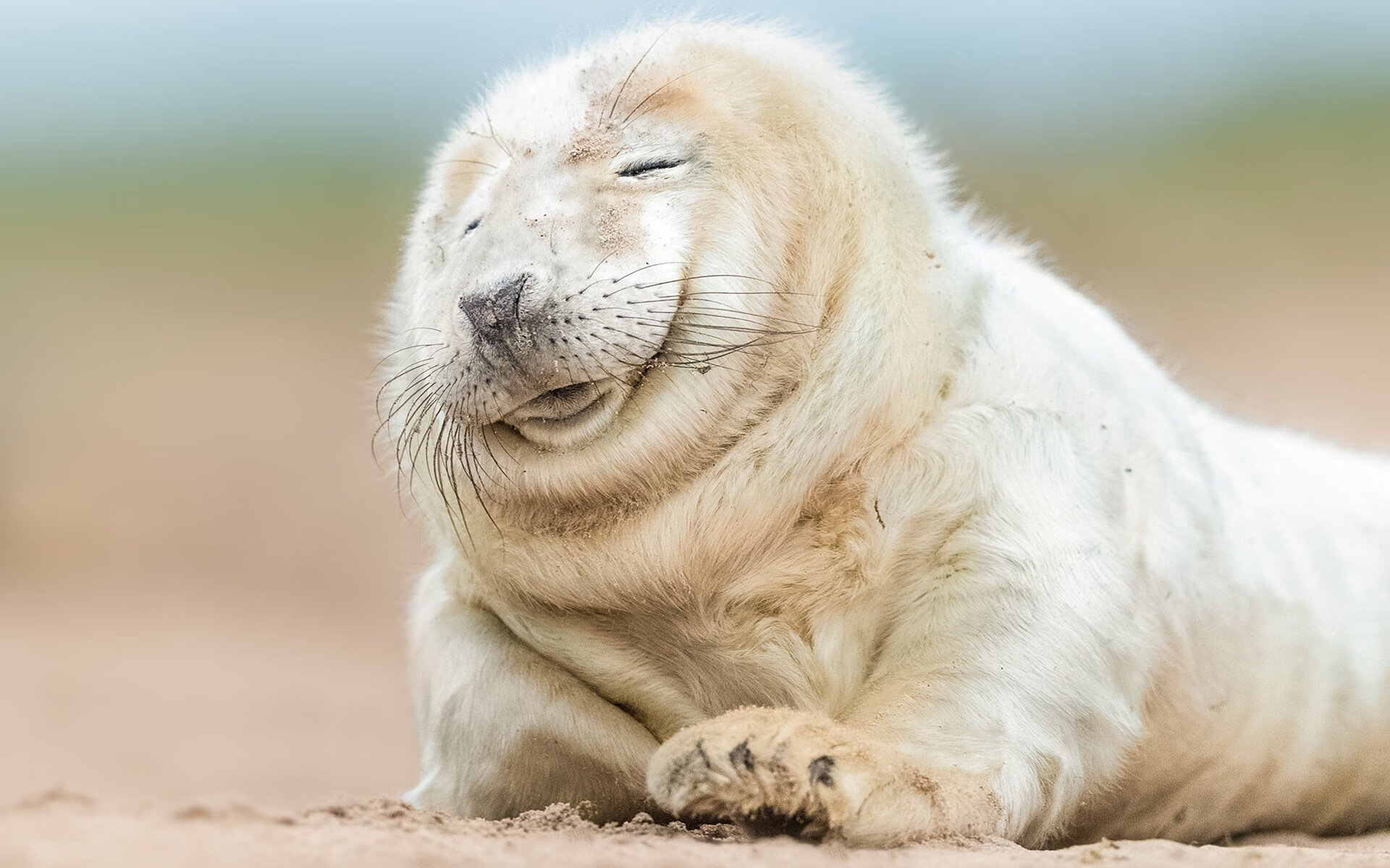 中立B仰泳选手姿态协调度提升，中游体育仰泳手臂路线