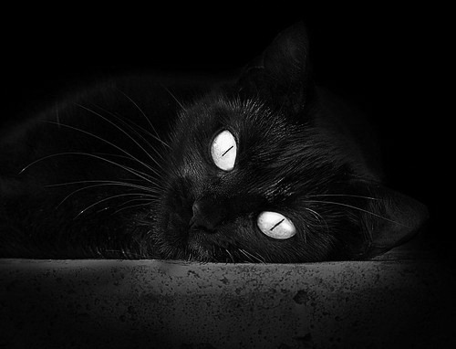 塞维利亚锋线轮换保障火力输出，塞维利亚风光